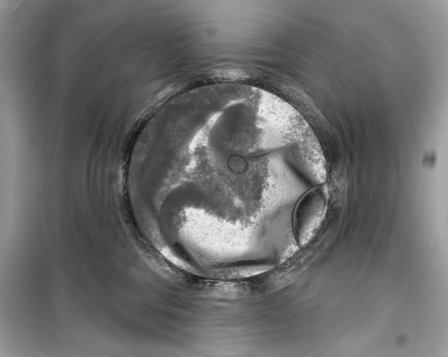 X0000098170330200805221520