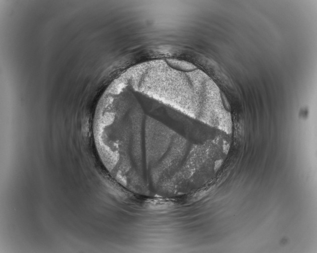 X0000098170331200805221520