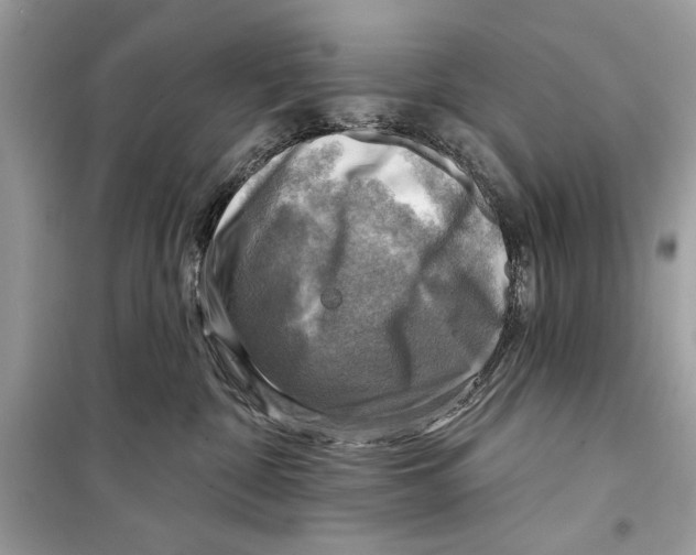 X0000098170332200805221520