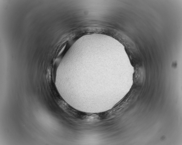 X0000098170333200805221520