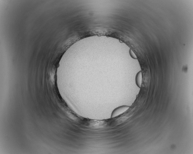 X0000098170334200805221520