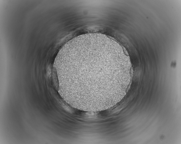 X0000098170335200805221520