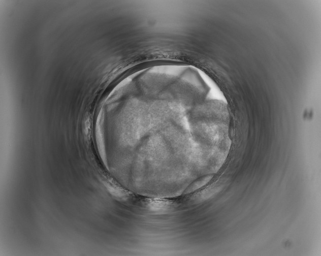 X0000098170336200805221520