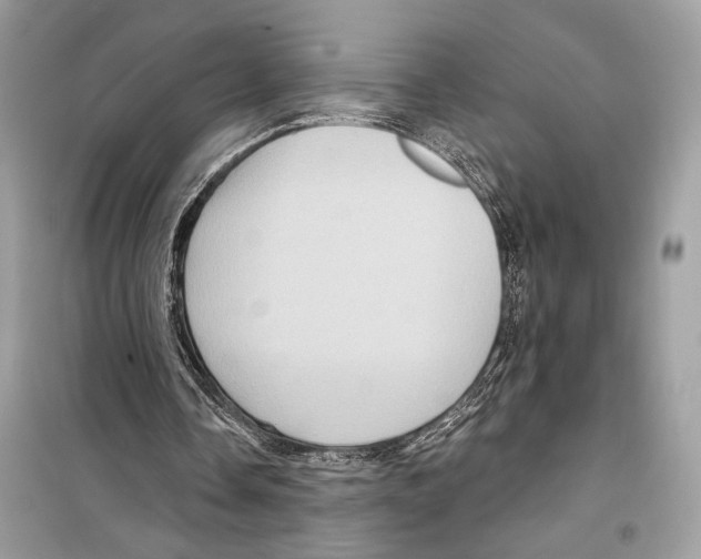 X0000098170338200805221520