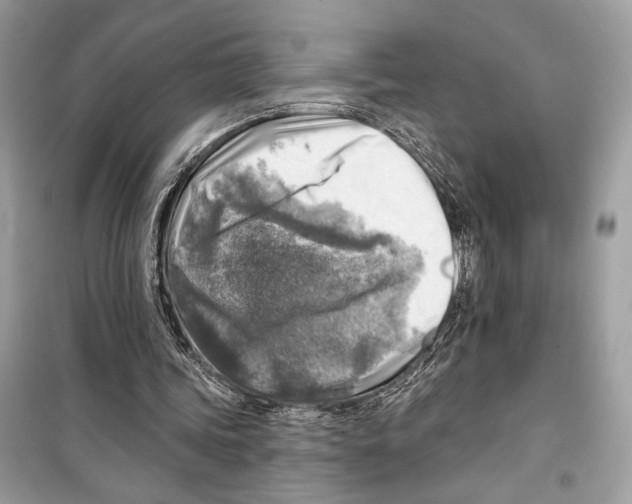 X0000098170339200805221520