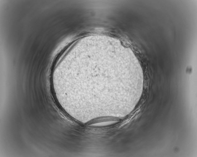 X0000098170341200805221520