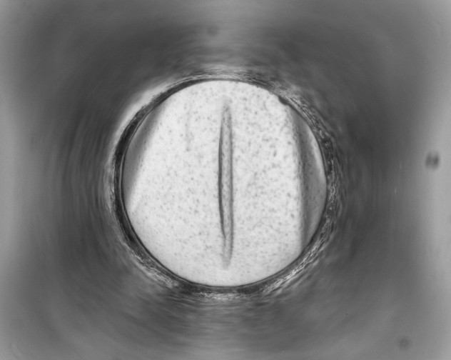 X0000098170342200805221520