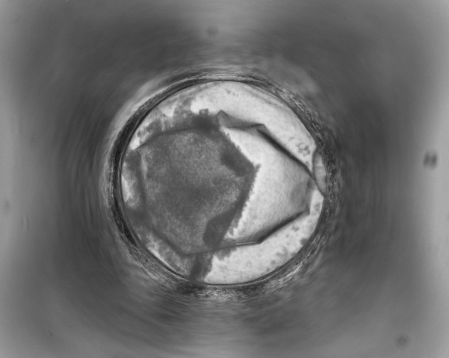 X0000098170343200805221520