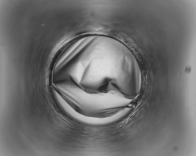 X0000098170344200805221520