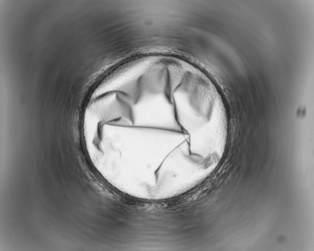 X0000098170345200805221520