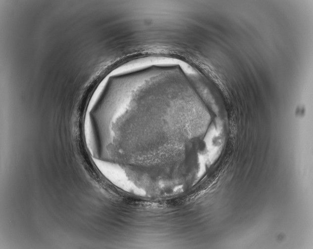 X0000098170347200805221520