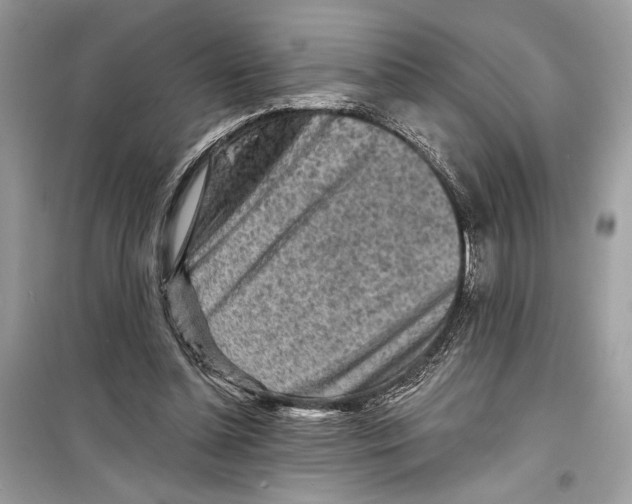 X0000098170348200805221520