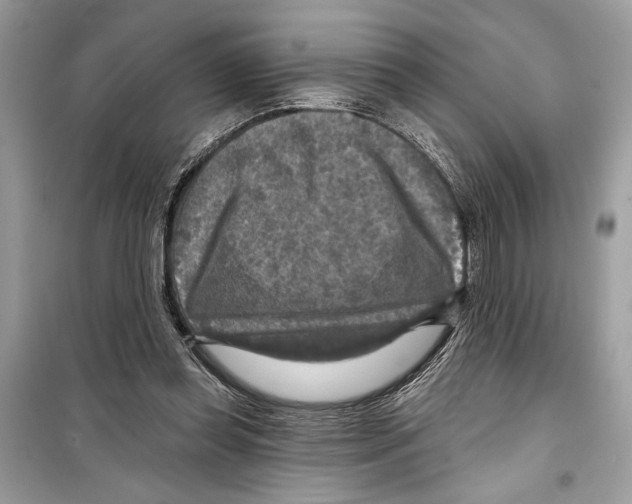 X0000098170349200805221520