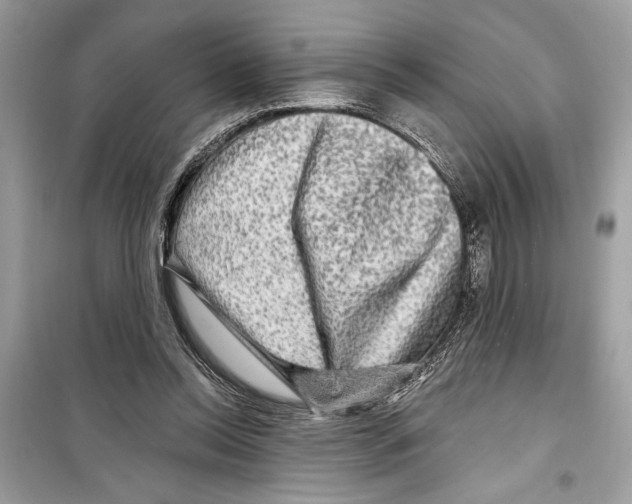 X0000098170350200805221520