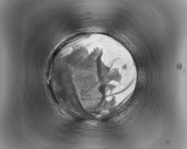 X0000098170351200805221520