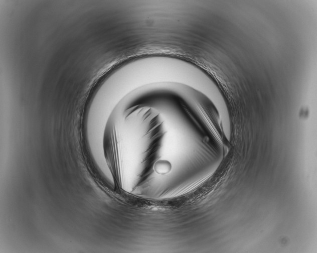 X0000098170352200805221520