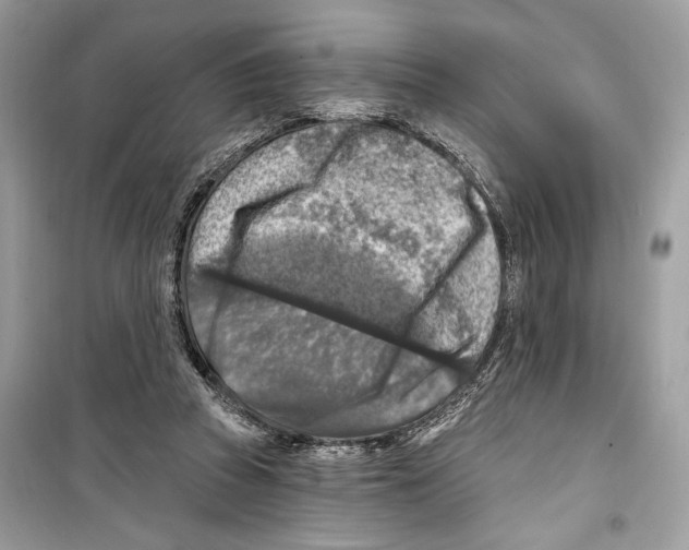 X0000098170353200805221520