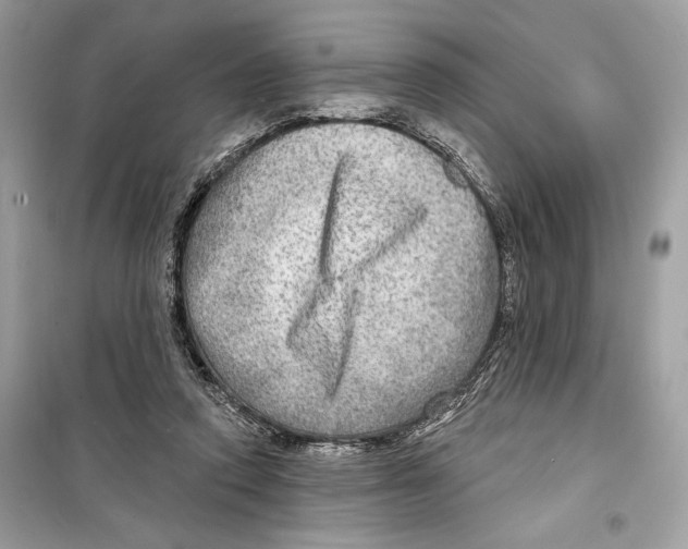 X0000098170354200805221520