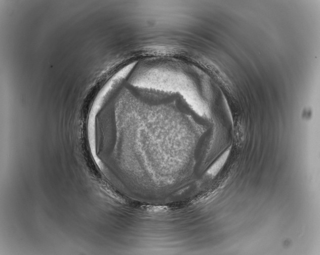 X0000098170355200805221520