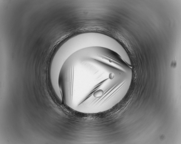 X0000098170356200805221520