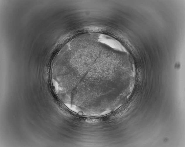 X0000098170357200805221520