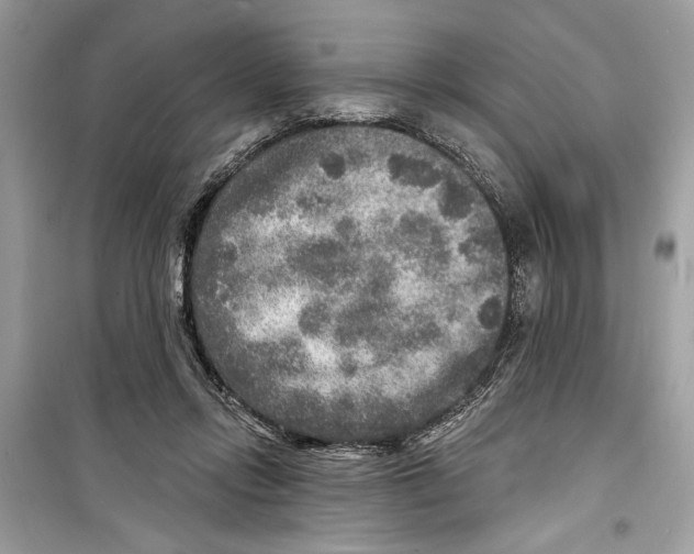 X0000098170358200805221520