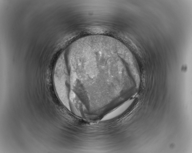 X0000098170359200805221520