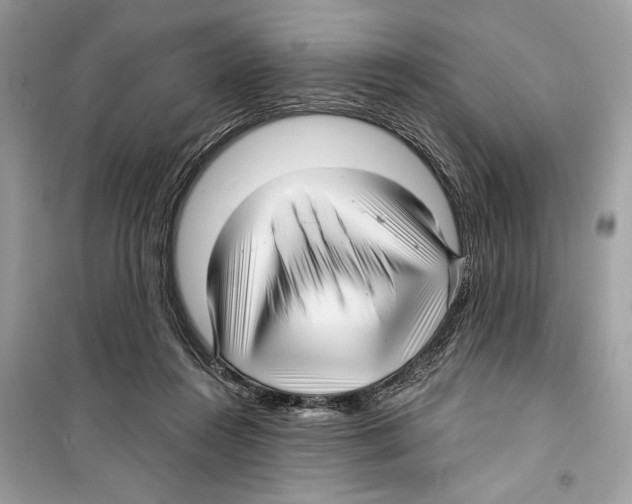 X0000098170360200805221520