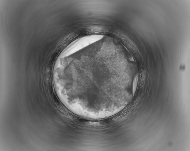 X0000098170361200805221520