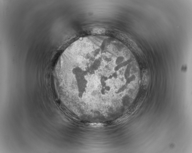 X0000098170363200805221520