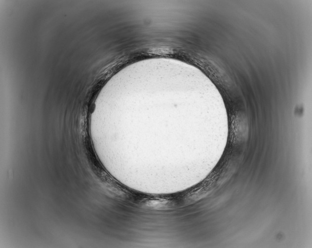 X0000098170364200805221520