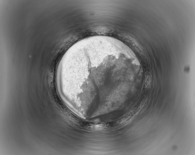 X0000098170365200805221520