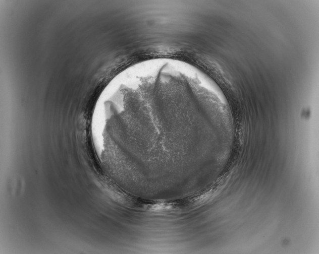 X0000098170366200805221520