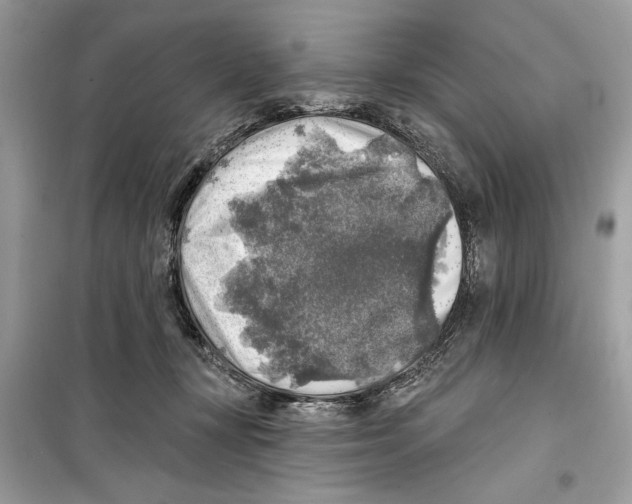 X0000098170367200805221520