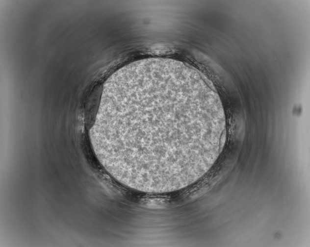 X0000098170368200805221520