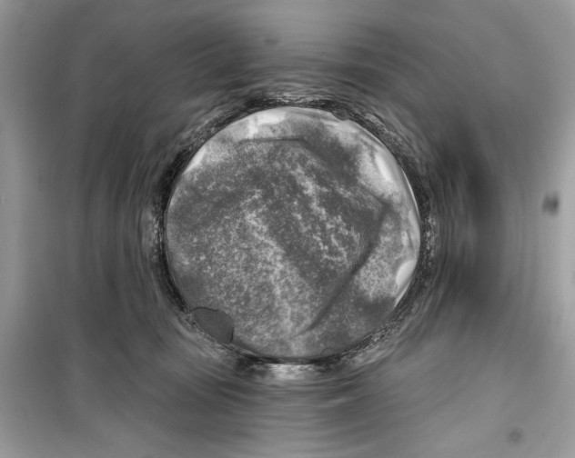 X0000098170371200805221520