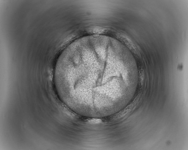 X0000098170374200805221520