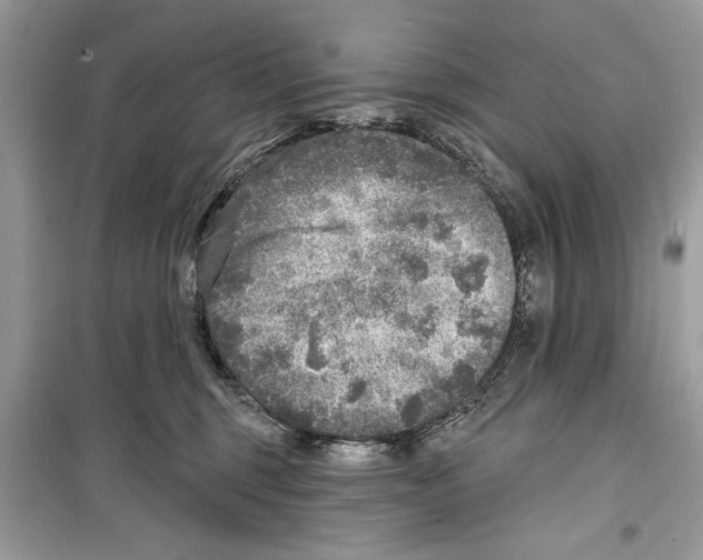 X0000098170375200805221520