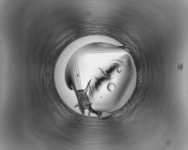 X0000098170376200805221520