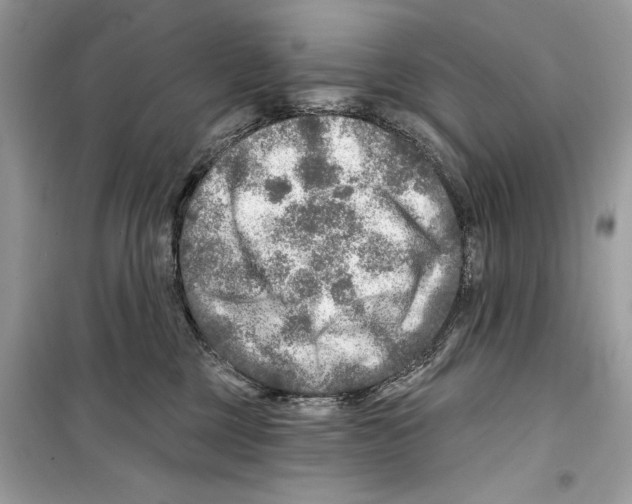 X0000098170377200805221520