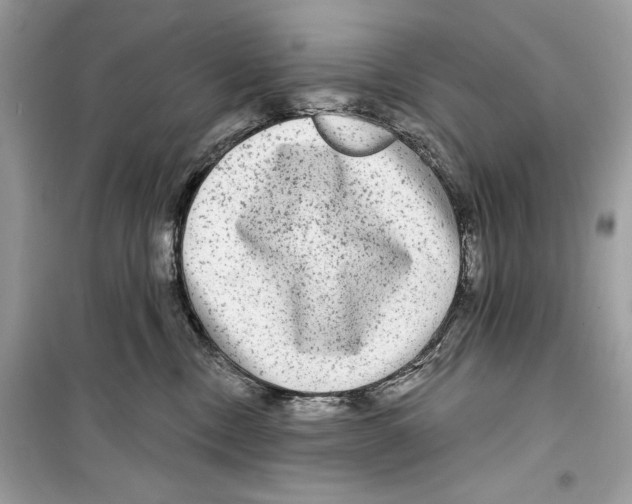 X0000098170378200805221520