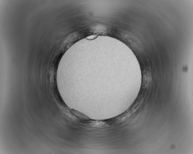 X0000098170379200805221520