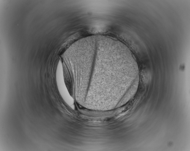 X0000098170380200805221520