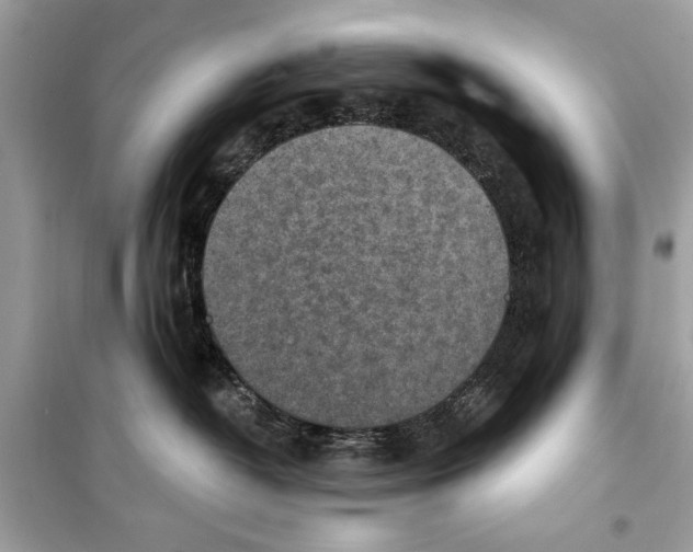 X0000098170382200805221520