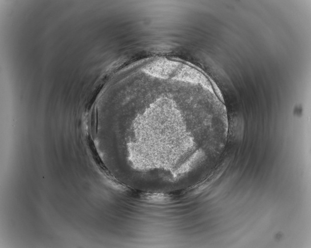 X0000098170383200805221520