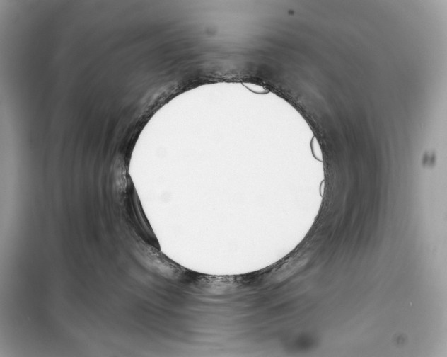 X0000098170384200805221520