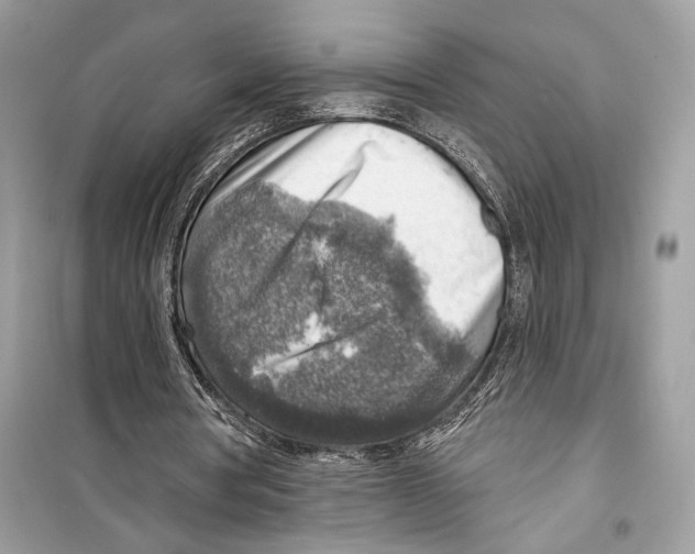 X0000098170386200805221520