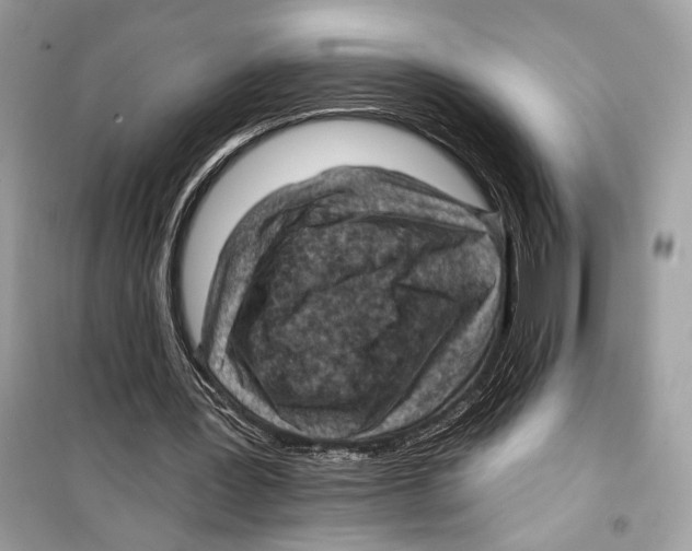 X0000098170387200805221520