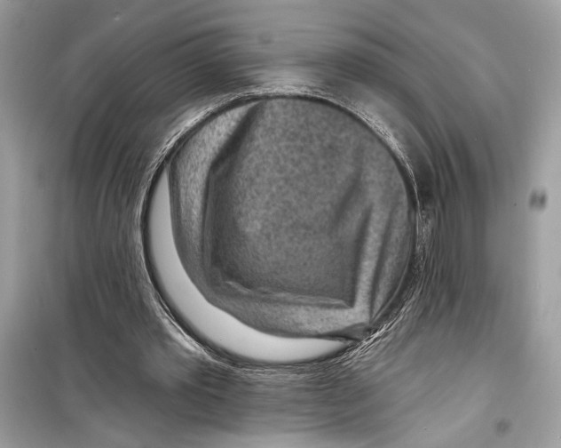 X0000098170389200805221520