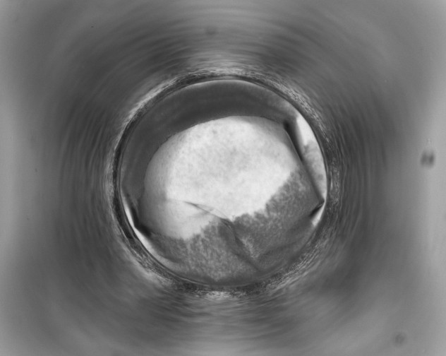 X0000098170390200805221520